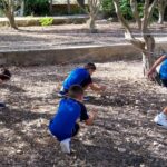 Blending Fitness, Nature, and Learning: Archbishop Missionary School’s Immersive SportMalta School Sports Day